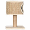 Kattenmeubel Met Huis En Krabpaal 52 Cm Zeegras