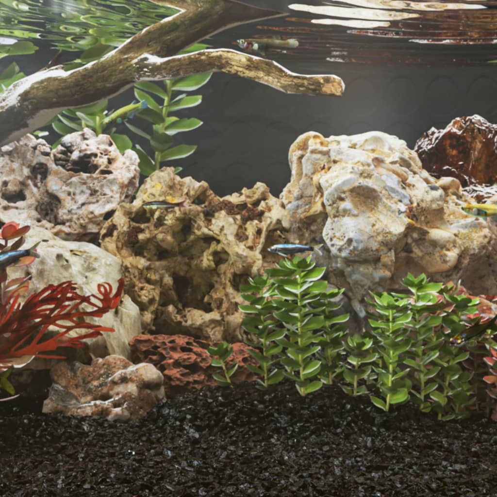 Drakenstenen 10 Kg 5-30 Cm