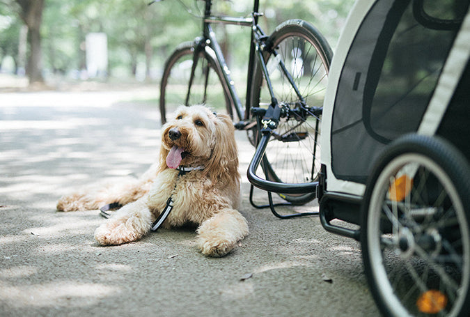 AirBuggy Cube Nest – hondenbuggy voor hond of kat