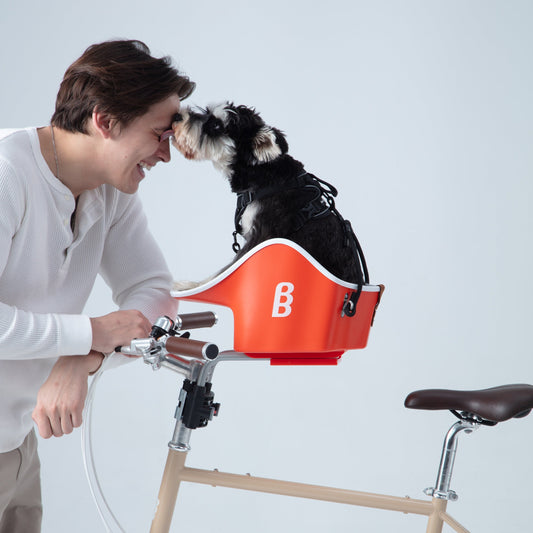Brook & Breeze Canine Copilot - fietsstoeltje voor hond of kat