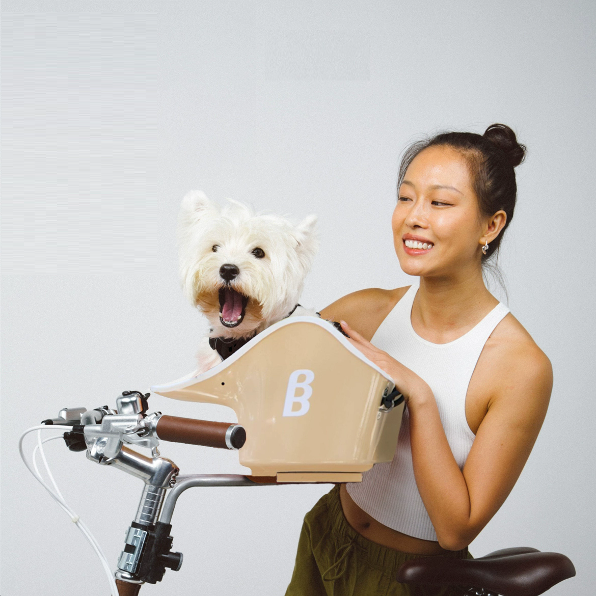 B&B Canine Copilot Honden Fietszitje voor Kleine Honden Beige