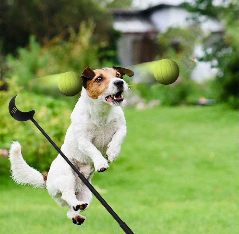 Werpstok voor honden - ballenwerper - hondenspeelgoed