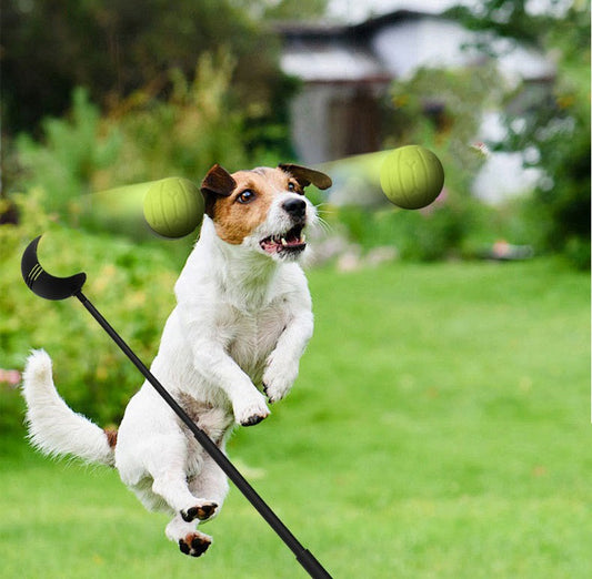 Werpstok voor honden - ballenwerper - hondenspeelgoed