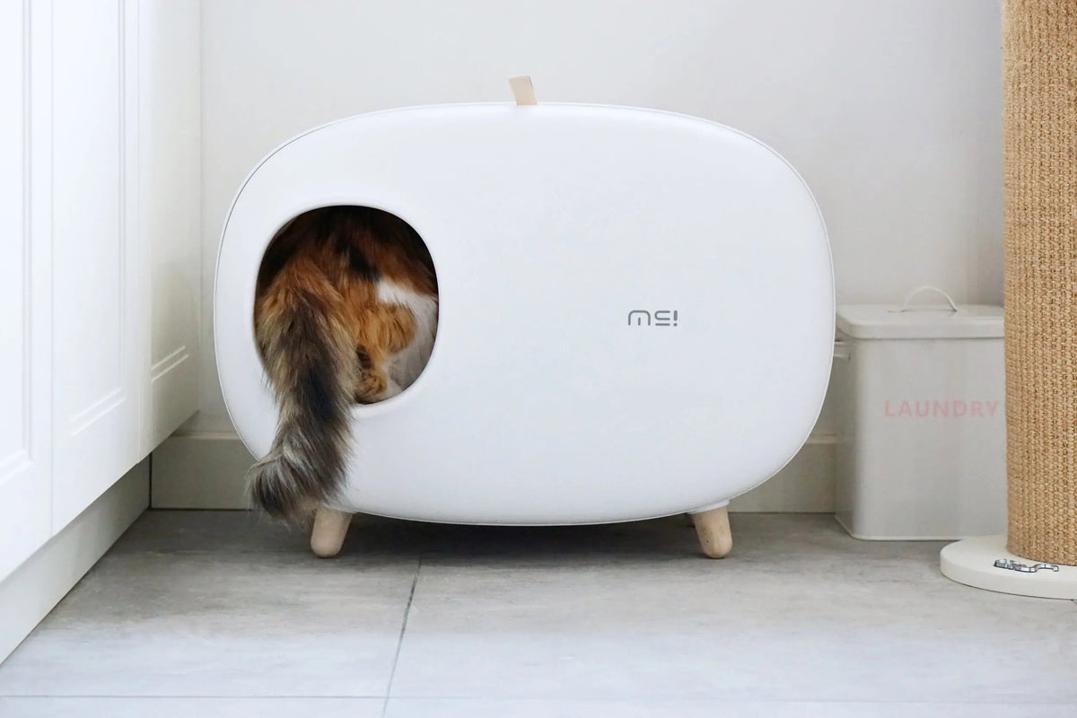 Design Kattenbak - inclusief schepje - lekvrij en geurvrij