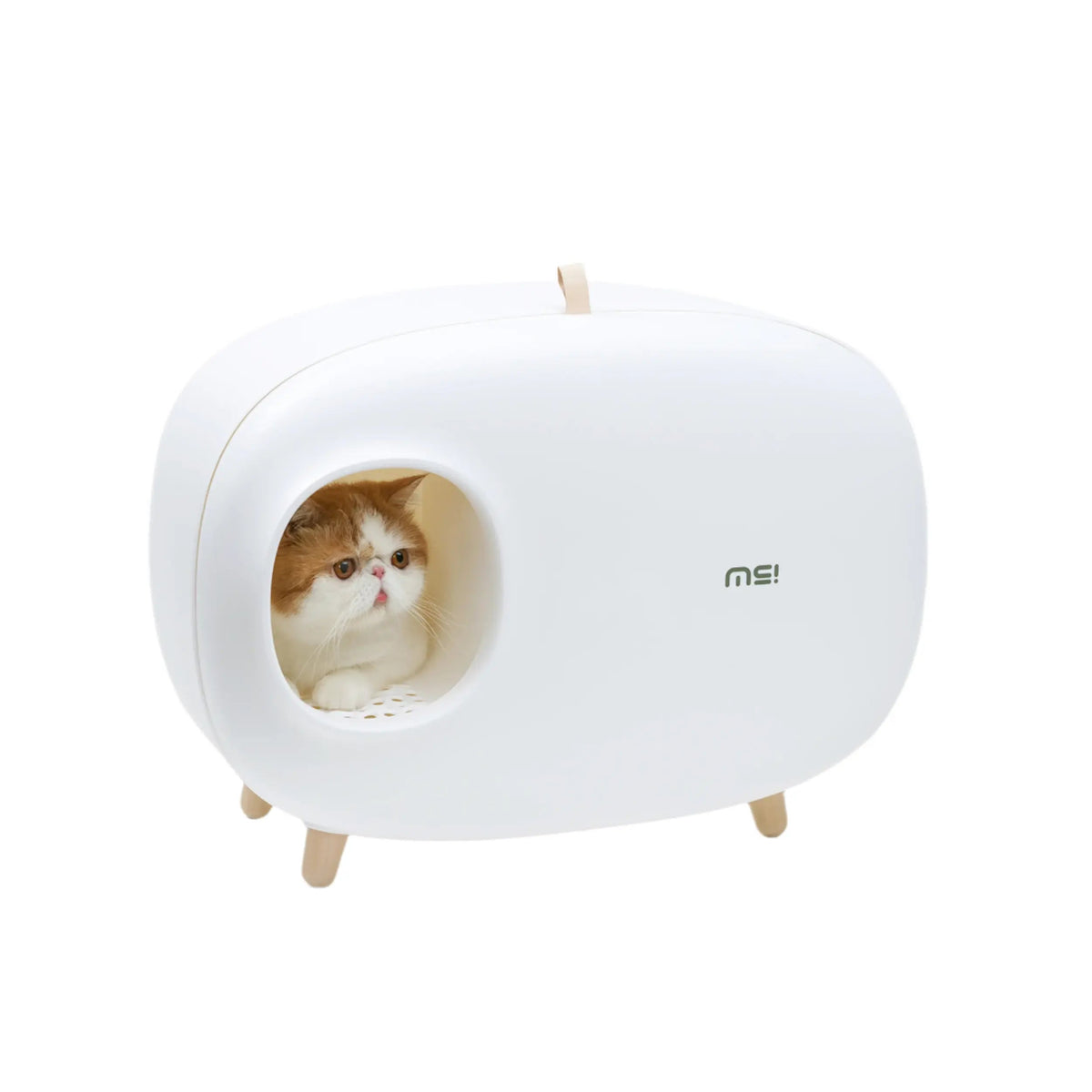 Design Kattenbak - inclusief schepje - lekvrij en geurvrij