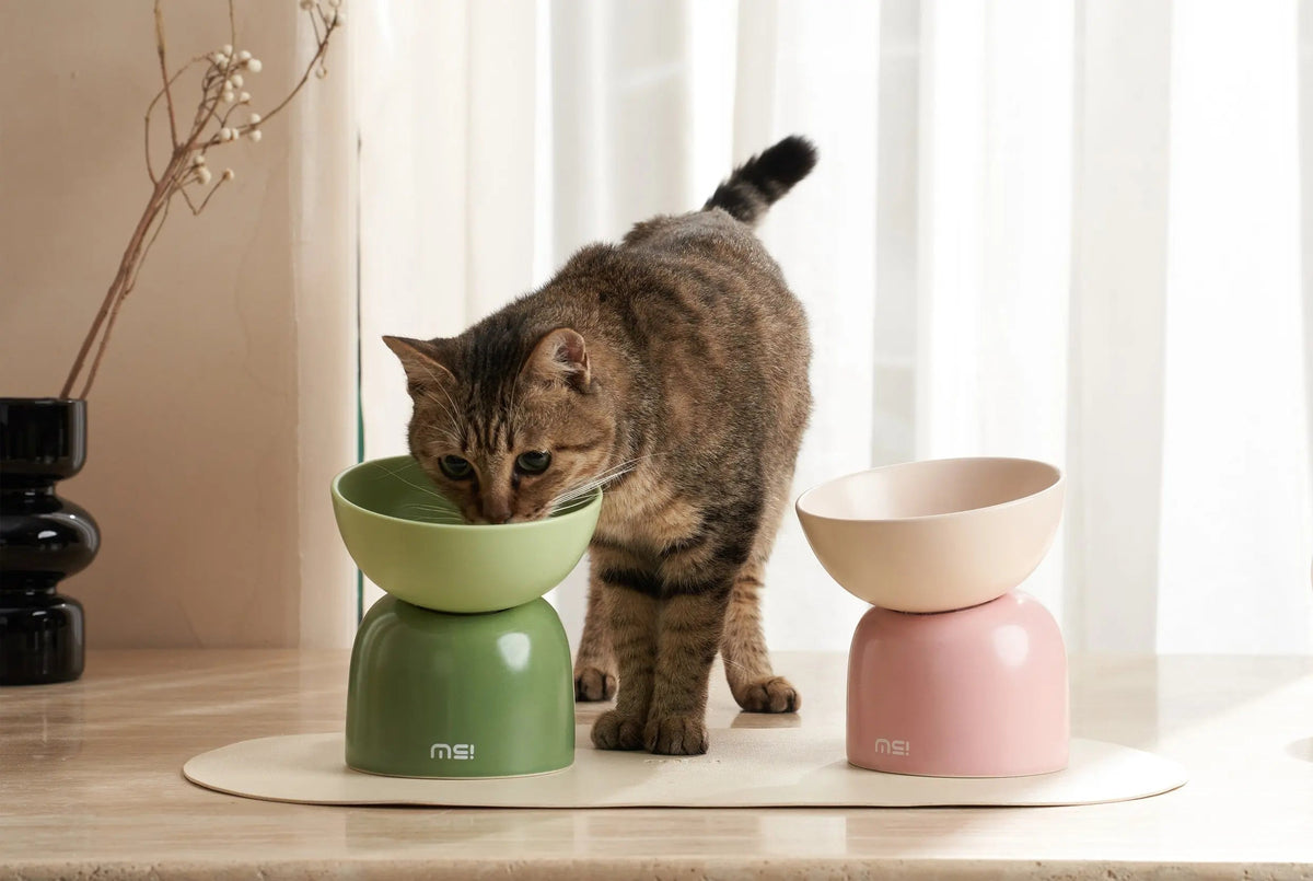 Katten voerbak - Verhoogde keramische voerbak