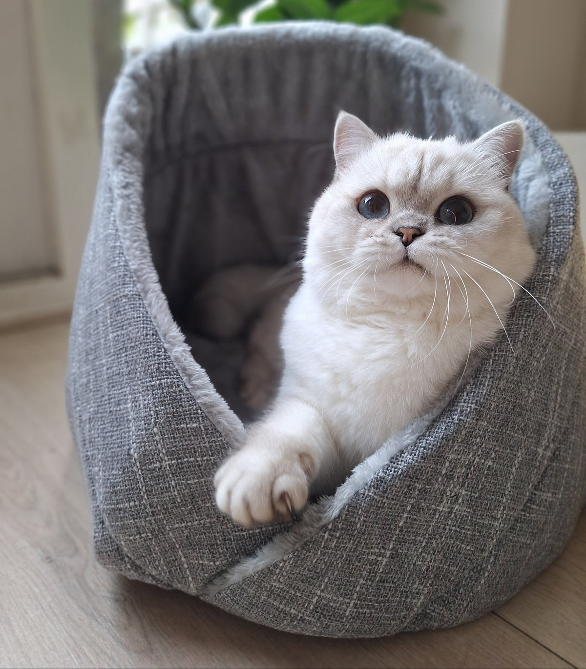 Momo kattenbed - kattenmand