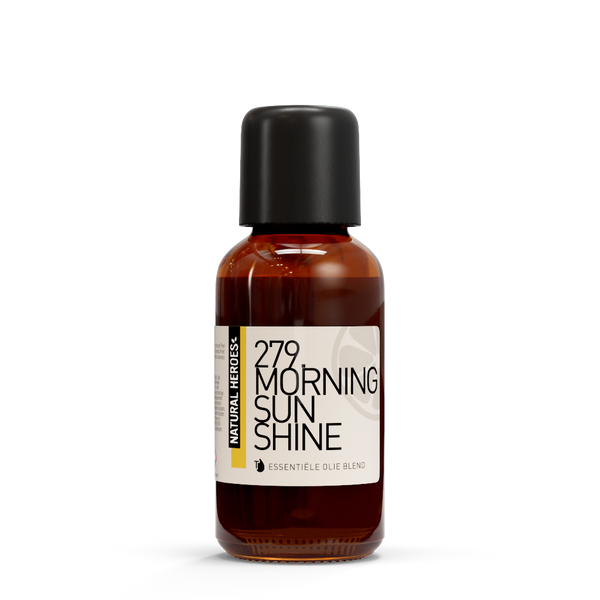 Morning Sunshine EO Blend