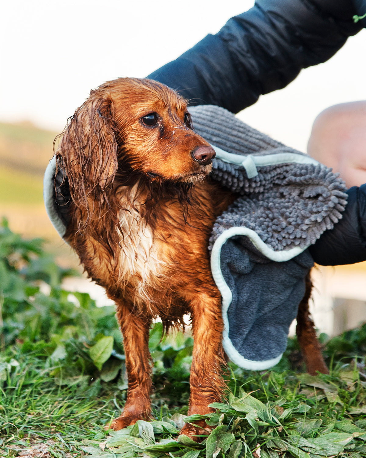 Henry Wag microvezel handdoek voor hond en kat
