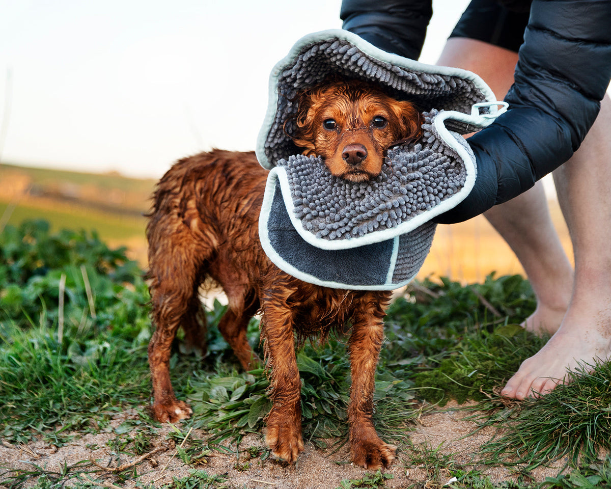 Henry Wag microvezel handdoek voor hond en kat