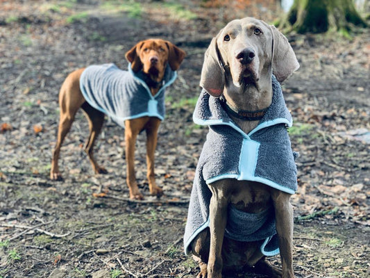 Henry Wag hondenbadjas microvezel - droogjas voor honden - Maat XL