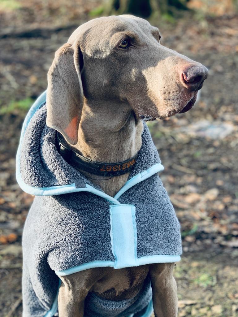 Henry Wag hondenbadjas microvezel - droogjas voor honden - Maat XL