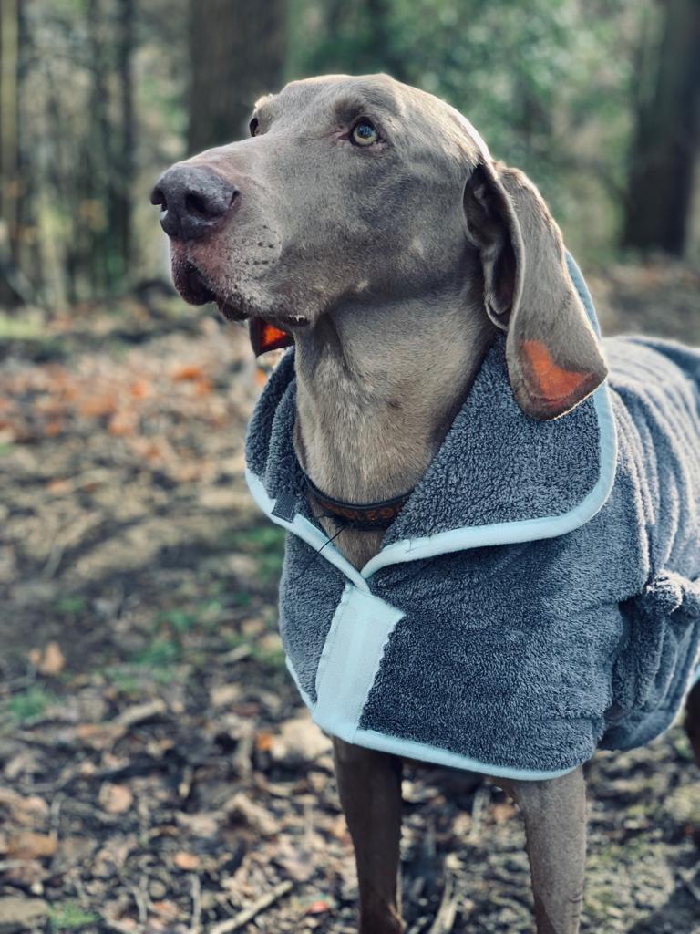 Henry Wag hondenbadjas microvezel - droogjas voor honden - Maat XL