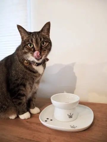 Voerbak dienblad - Schotel voor kattenvoer- of drinkbak