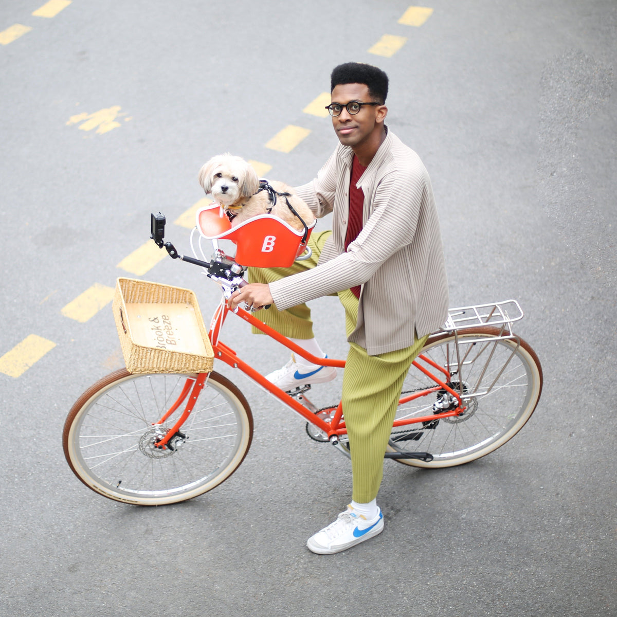 Brook & Breeze Canine Copilot - fietsstoeltje voor hond of kat