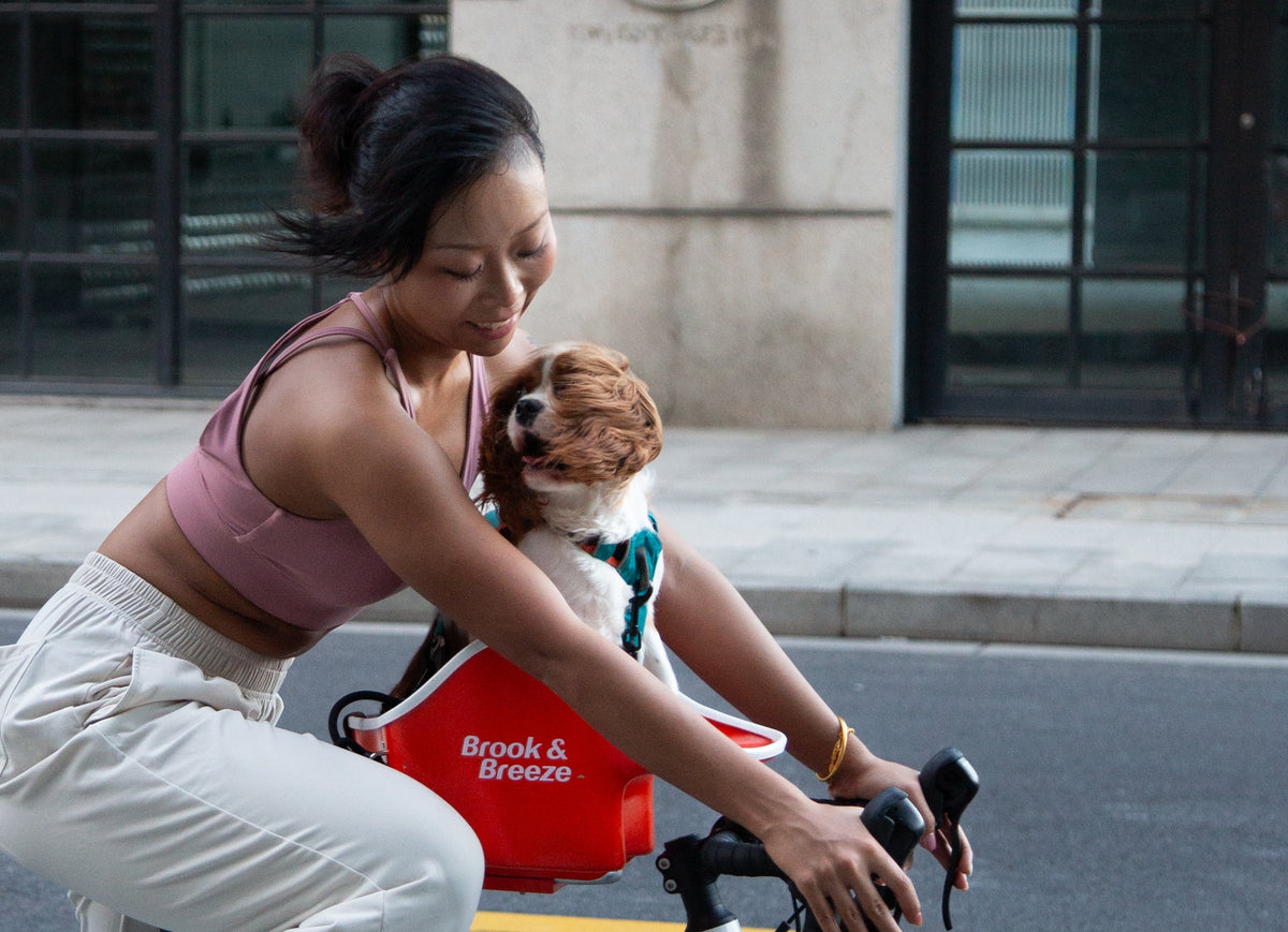 Brook & Breeze Canine Copilot - fietsstoeltje voor hond of kat