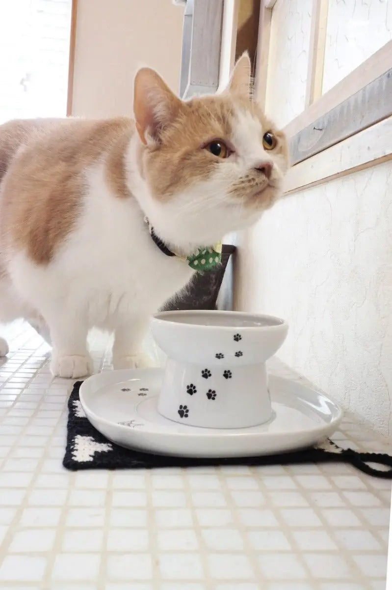 Voerbak dienblad - Schotel voor kattenvoer- of drinkbak