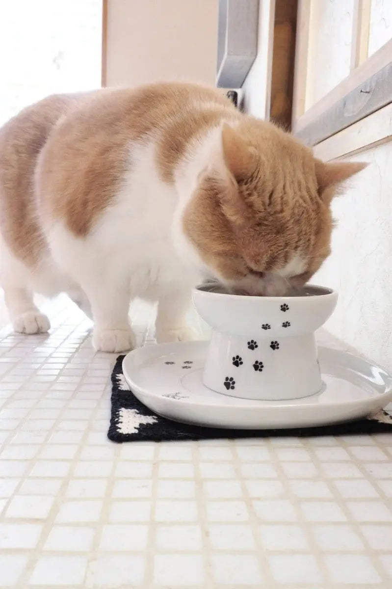 Voerbak dienblad - Schotel voor kattenvoer- of drinkbak