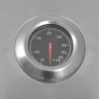 Gas Barbecue Grill Zilver Roestvrij Staal