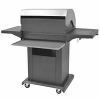Gas Barbecue Grill Zilver Roestvrij Staal
