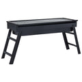 Campingbarbecue Draagbaar 60X22,5X33 Cm Roestvrij