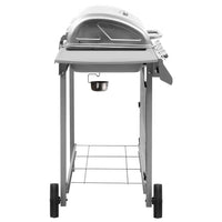 Gasbarbecue Met 4 Branders Kleurig
