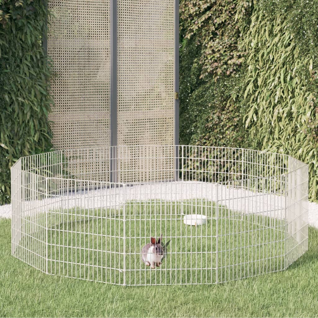 Dierenverblijf Gegalvaniseerd Ijzer