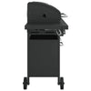 Gasbarbecue Met Gepoedercoat Staal Zwart