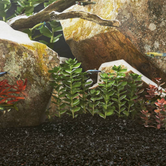 Aquariumzand 0,2-2 Mm Zwart