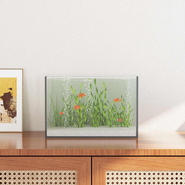 Aquarium Met Opslag Doorzichtig Glas
