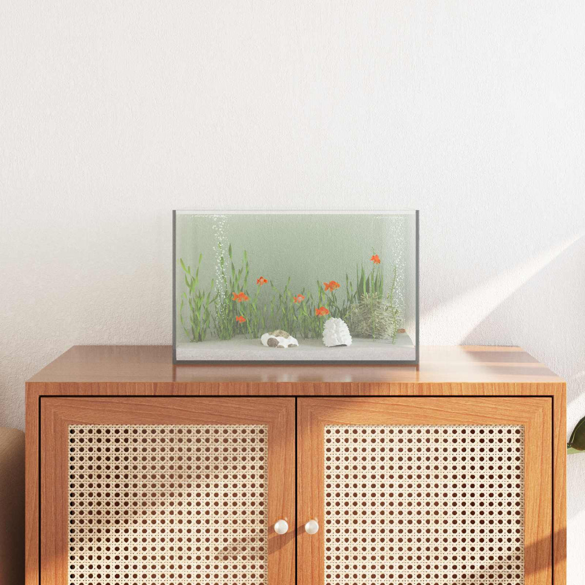 Aquarium Met Opslag Doorzichtig Glas