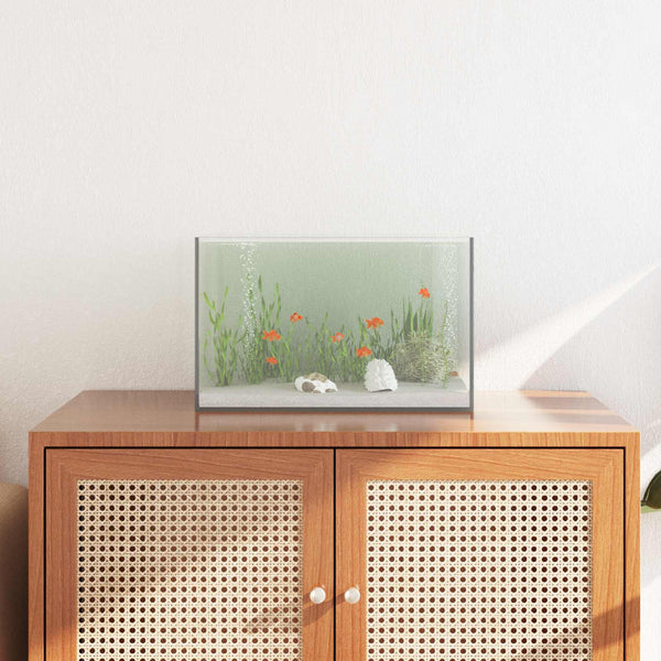 Aquarium Met Opslag Doorzichtig Glas