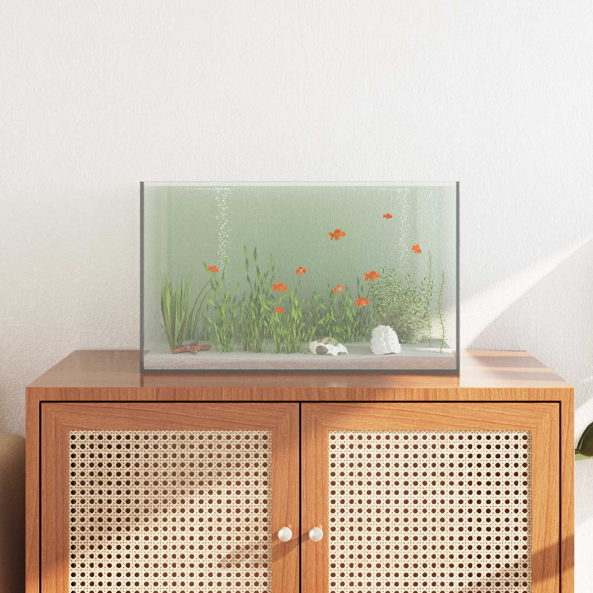 Aquarium Met Opslag Doorzichtig Glas