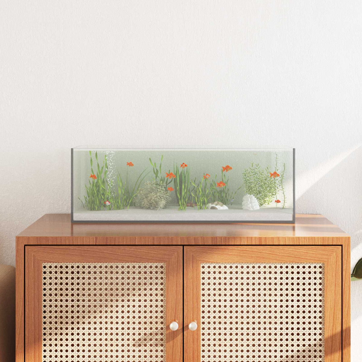 Aquarium Met Opslag Doorzichtig Glas