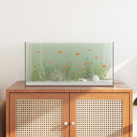 Aquarium Met Opslag Doorzichtig Glas