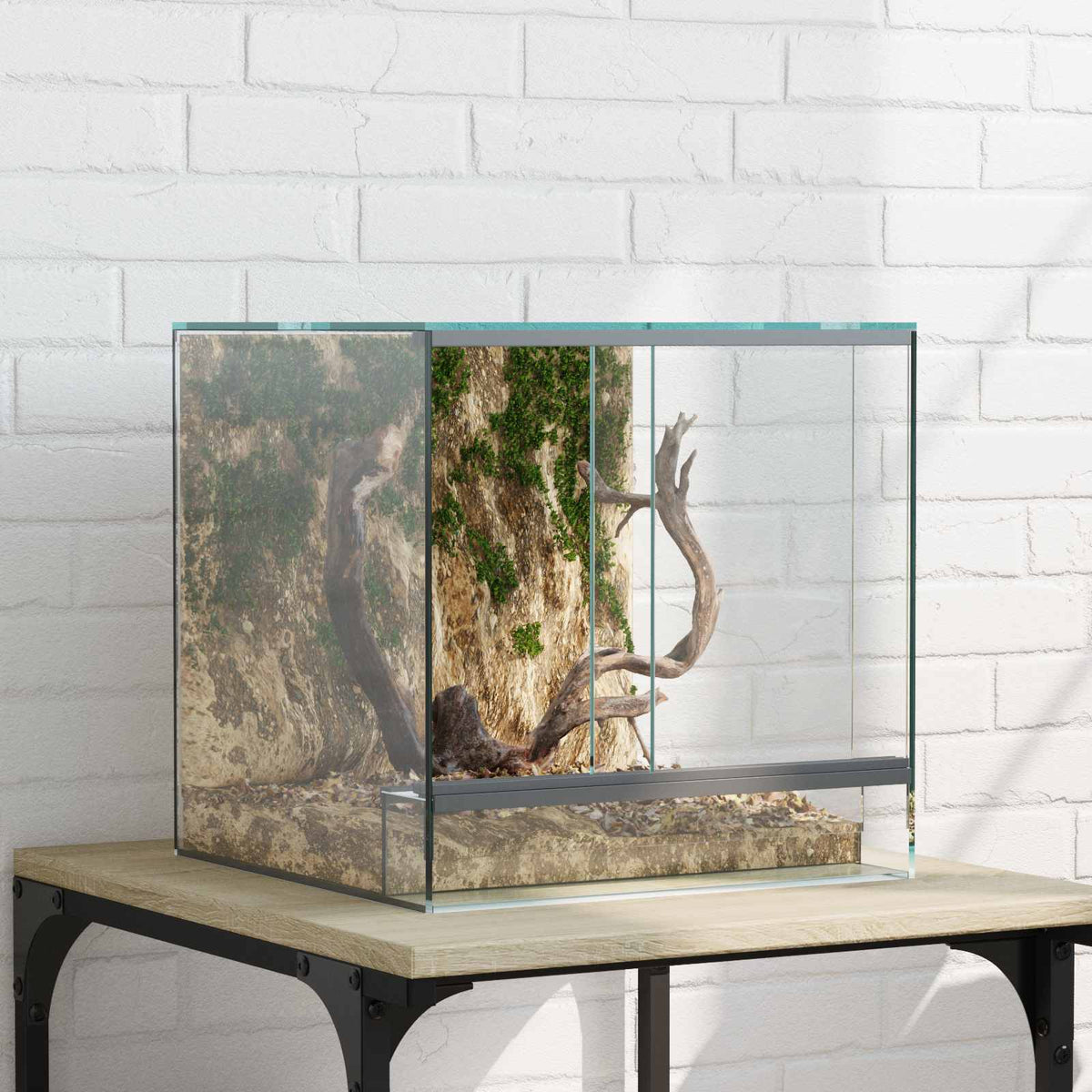 Terrarium Met Opslag Transparant Glas