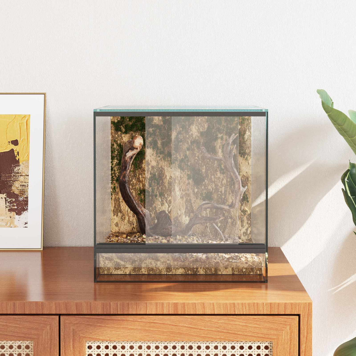 Terrarium Met Opslag Transparant Glas