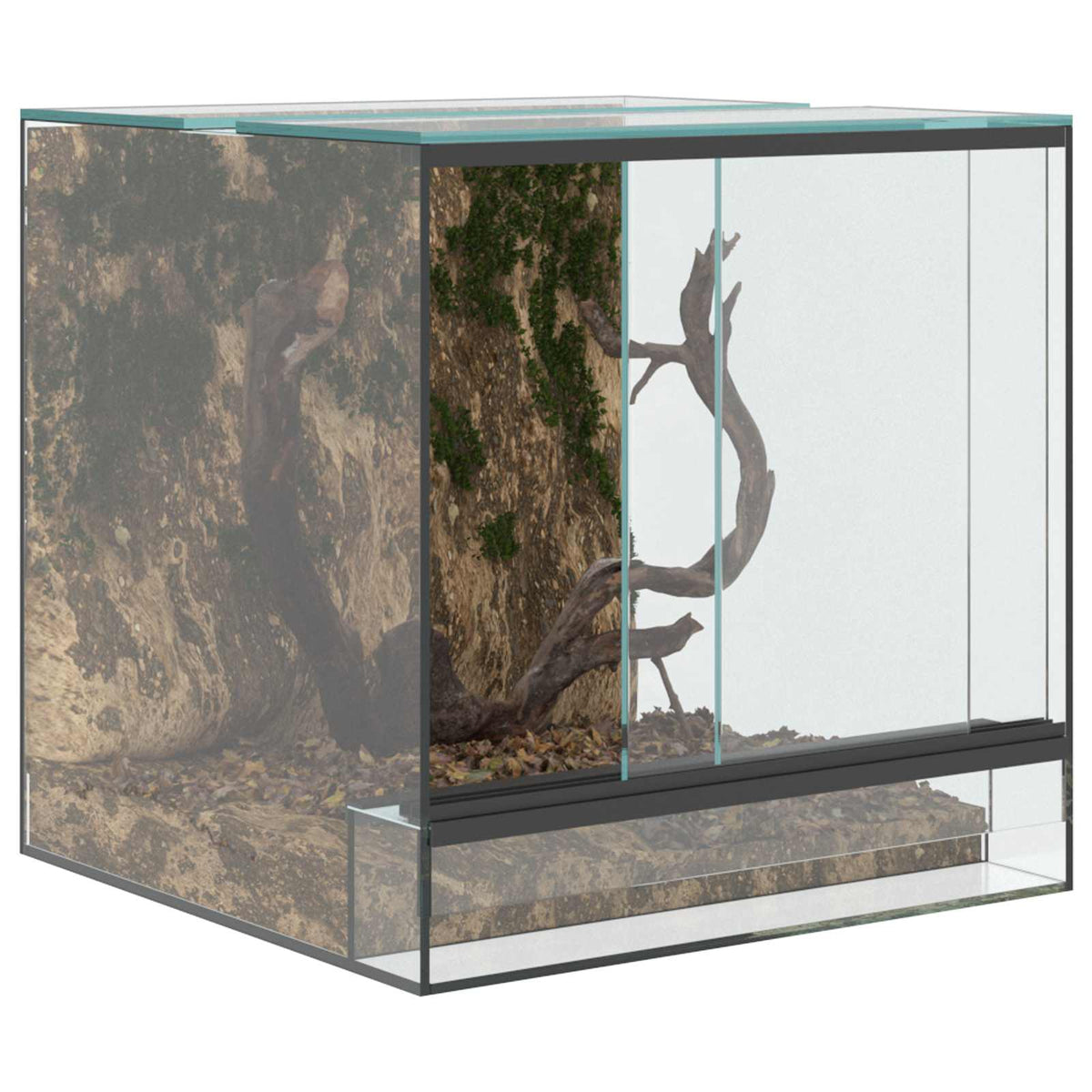 Terrarium Met Opslag Transparant Glas