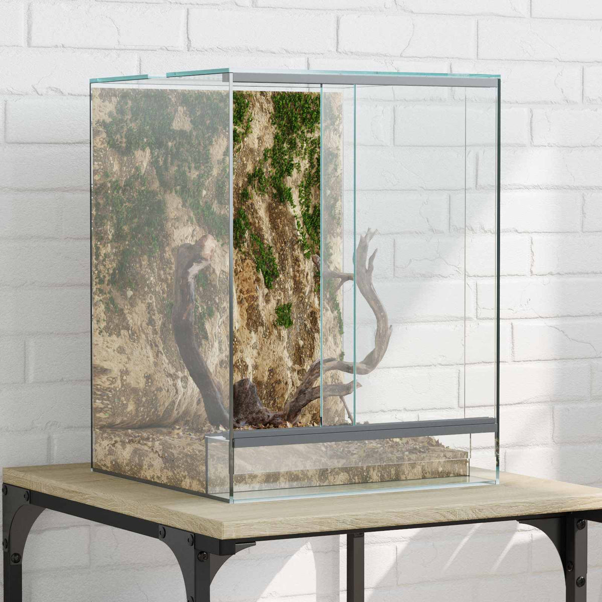 Terrarium Met Opslag Transparant Glas