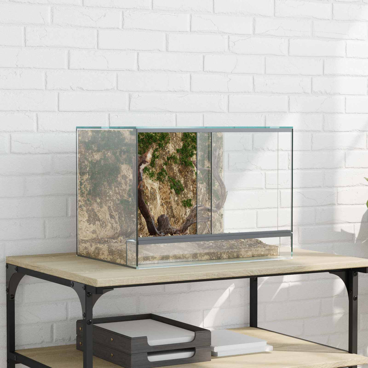 Terrarium Met Opslag Transparant Glas