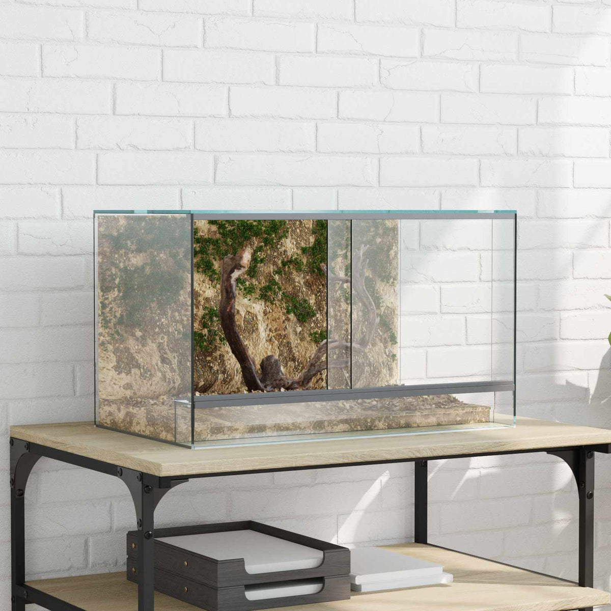 Terrarium Met Opslag Transparant Glas