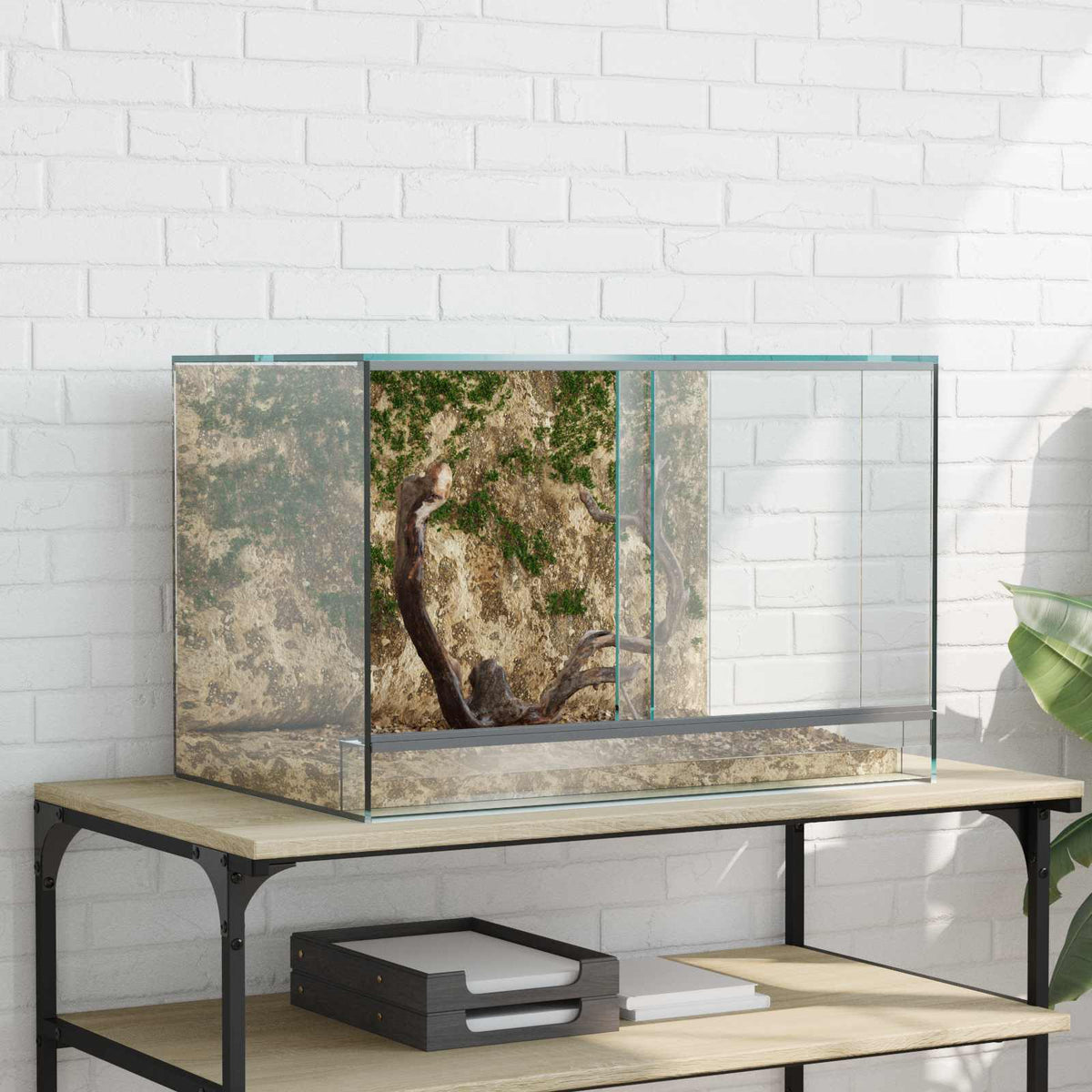 Terrarium Met Opslag Transparant Glas