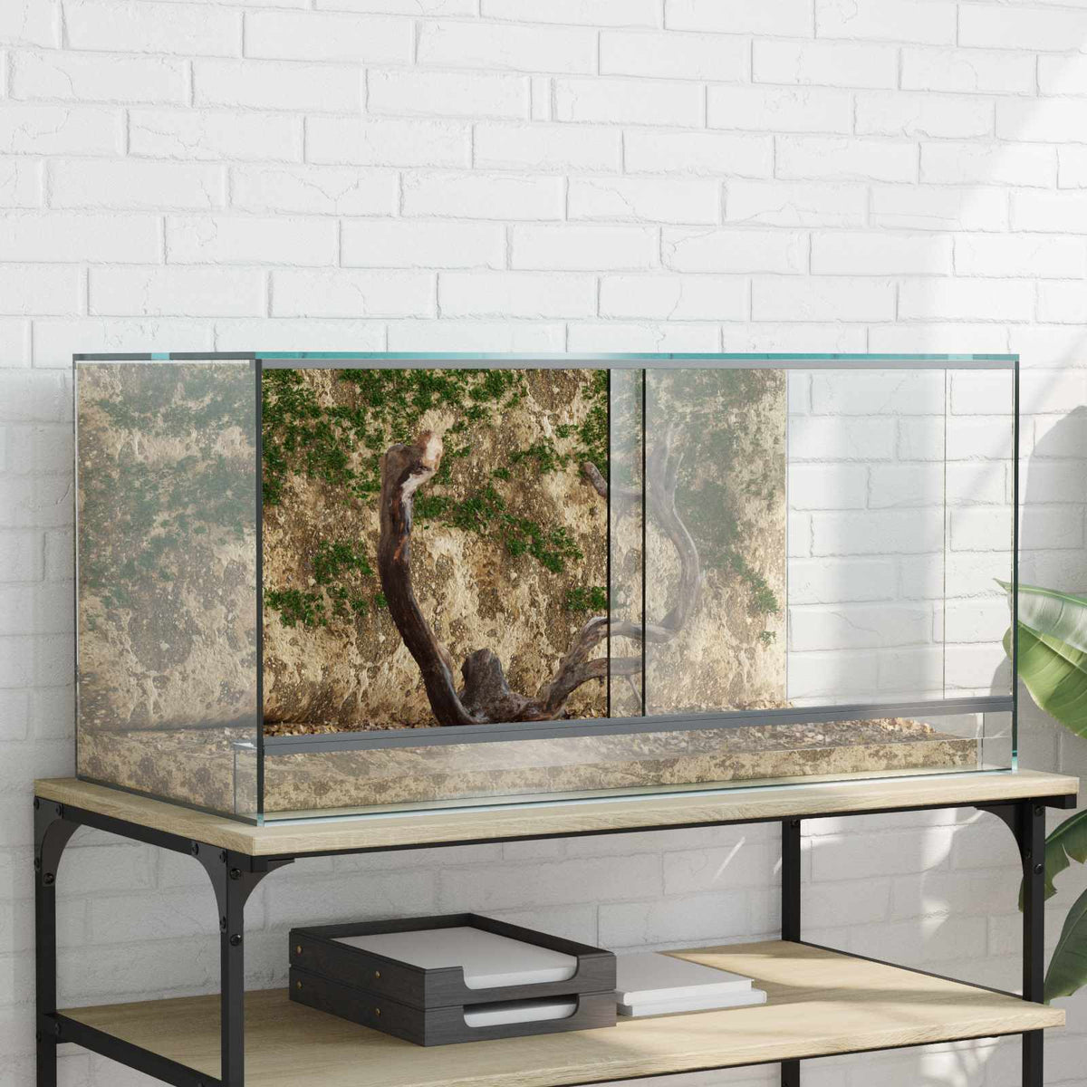 Terrarium Met Opslag Transparant Glas