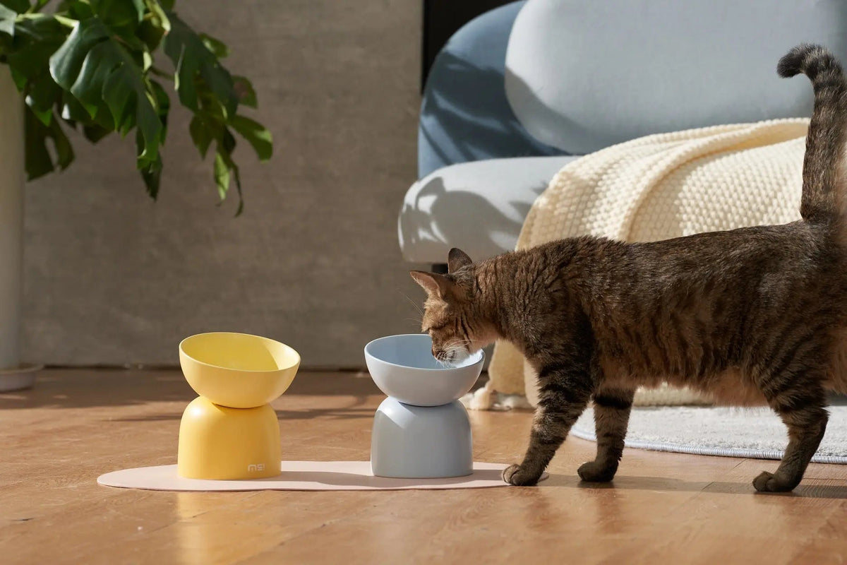 Katten voerbak - Verhoogde keramische voerbak