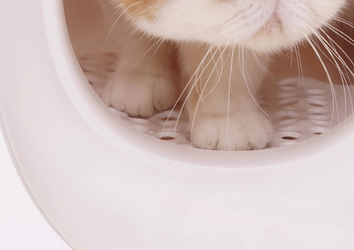 Design Kattenbak - inclusief schepje - lekvrij en geurvrij