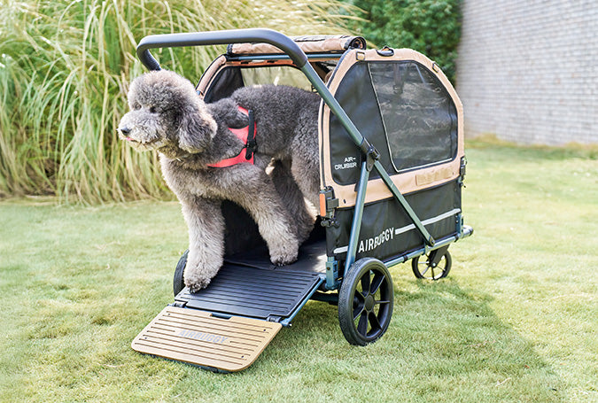 AirBuggy AIR-CRUISER – De Ultieme Premium Hondenbuggy voor Grote Rassen
