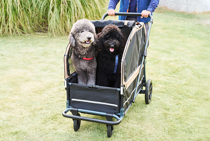 AirBuggy AIR-CRUISER – De Ultieme Premium Hondenbuggy voor Grote Rassen