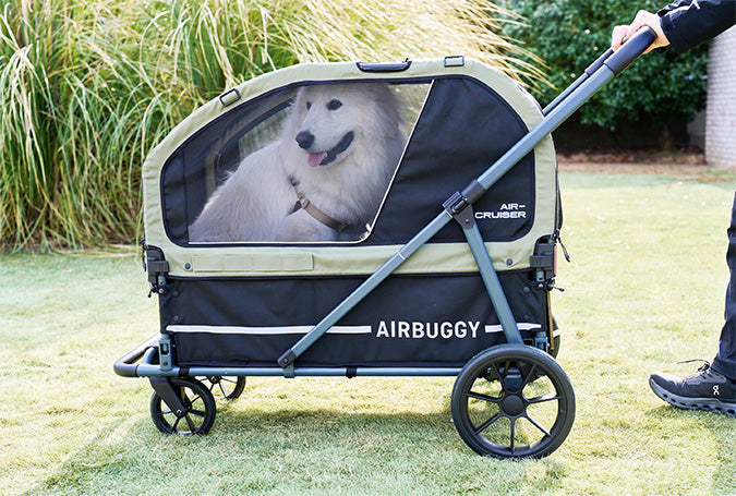 AirBuggy AIR-CRUISER – De Ultieme Premium Hondenbuggy voor Grote Rassen