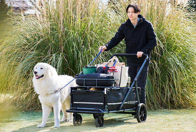 AirBuggy AIR CRUISER Seed Beige – Hondenwagen voor Zware Honden en XXL Rassen