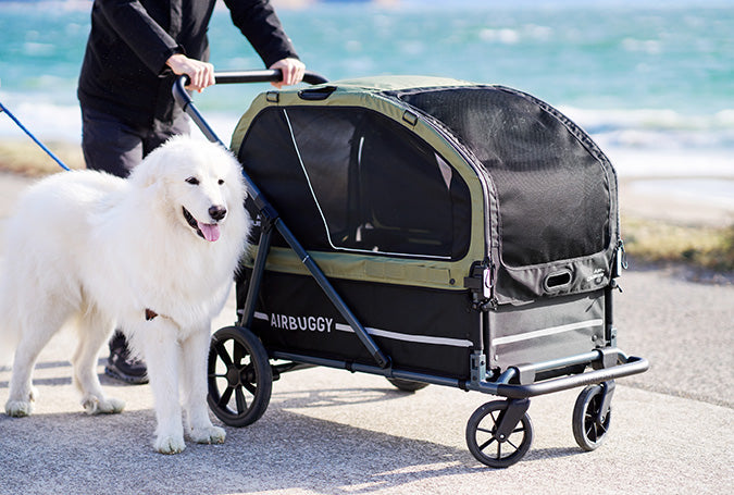 AirBuggy AIR-CRUISER – De Ultieme Premium Hondenbuggy voor Grote Rassen